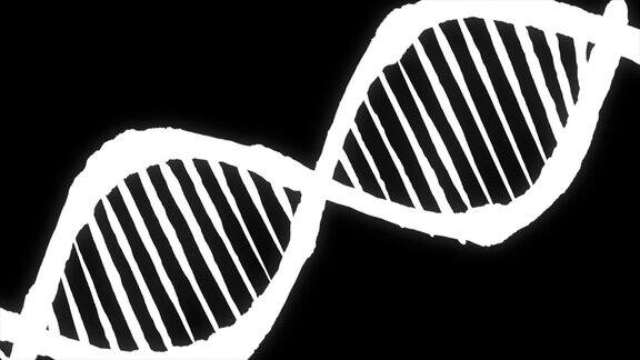 螺旋状的白色DNA链双螺旋人类DNA结构基因脱氧核糖核酸DNA分子载体图解