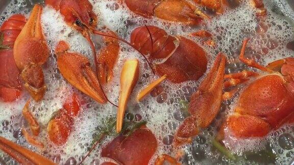 新鲜的小龙虾在水中煮加上调味料特写