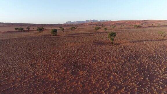 纳米比亚自然保护区鸟瞰图