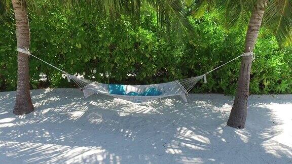热带海滩上棕榈树之间的吊床