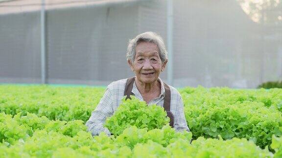 亚洲妇女向顾客展示蔬菜