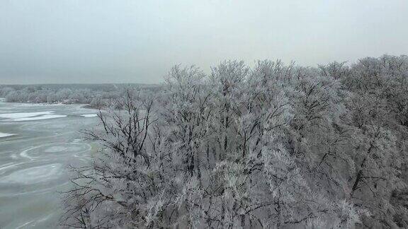 冬季冰湖和雪林的航拍