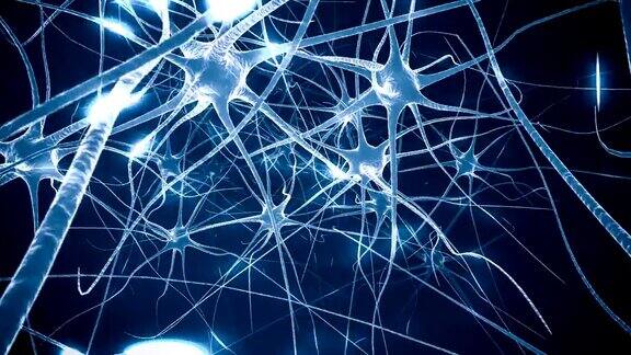 神经元在大脑神经网络的三维动画