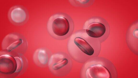 人体红细胞的3d摘要