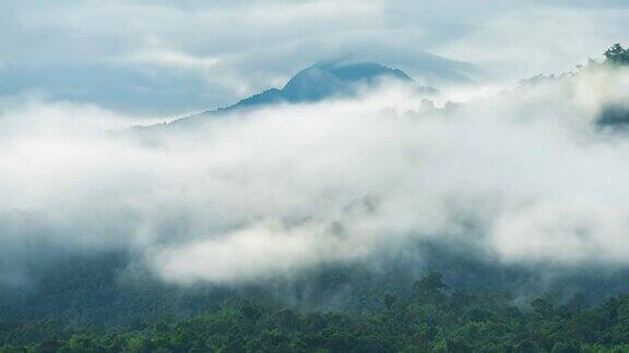 4k延时拍摄云雾缭绕的山脉和热带森林移动