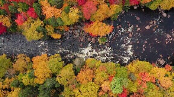 鸟瞰北方自然森林和河流在秋天魁北克加拿大