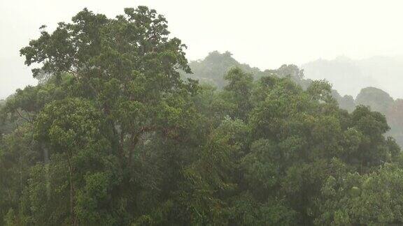 亚洲热带森林的大雨