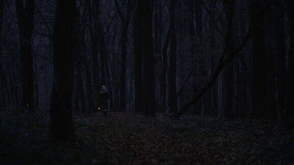 一个女人提着灯笼穿过寒冷的森林