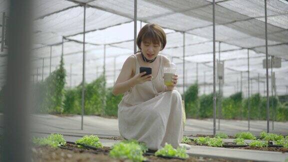 一个女人用智能手机观看有机蔬菜的视频
