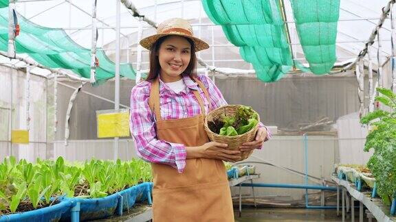 幸福的亚洲女农民的肖像拿着新鲜蔬菜沙拉篮子在一个有机农场的温室花园农业有机健康素食食品和小企业