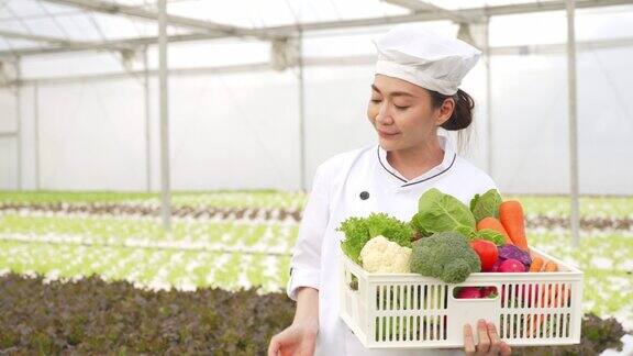 亚洲女厨师拿着一箱蔬菜在水培温室种植园的4K肖像