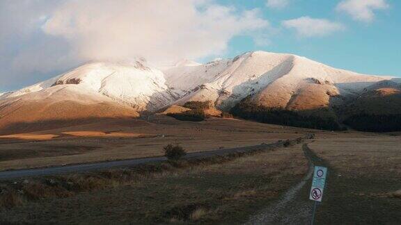 黎明时分坎波Imperatore一群奶牛和雪山在后面