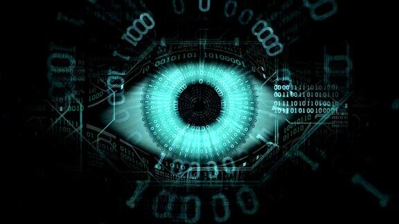 老大哥电子眼概念技术为全球计算机系统和网络的监控、安全