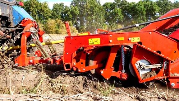 特写镜头特种拖拉机在挖掘土豆在农田里收割土豆初秋