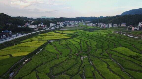 多云天的绿地和村庄鸟瞰图