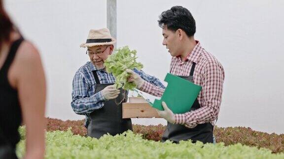 亚洲农场主和工人在一个大苗圃里检查水培蔬菜爱护蔬菜才能有优质环保的农产品现代农业技术