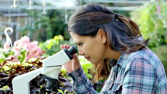专注的女性植物学家在苗圃中检查一株植物样本
