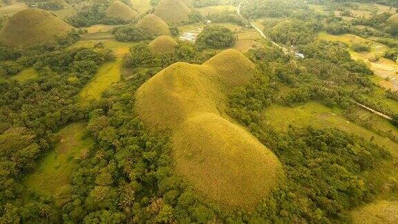 巧克力山在保和菲律宾鸟瞰图