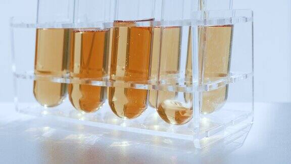 科学家化学家将黄色液体从玻璃中倒入试管