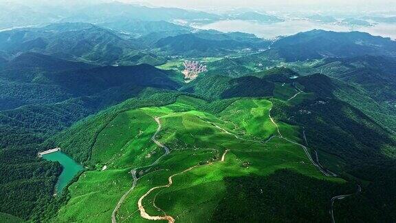 杭州绿茶种植园和山景鸟瞰图