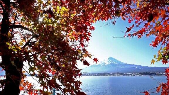 富士山秋日在日本山梨县川口湖