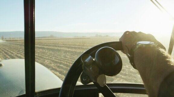 一个戴着手表的农民的手从拖拉机驾驶室里驾驶着拖拉机方向盘在玉米地里导航