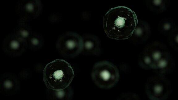 细胞生物学的3d渲染处理最小的生命单位