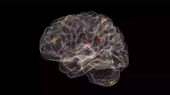 3D脑部旋转扫描脑扫描接口HUD大脑分析【医学】解剖学概念用于标题文本演示3d动画60FPS