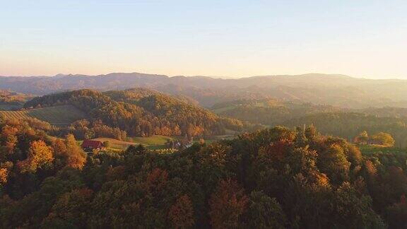 WS鸟瞰图宁静田园诗滚动的秋天景观斯洛文尼亚