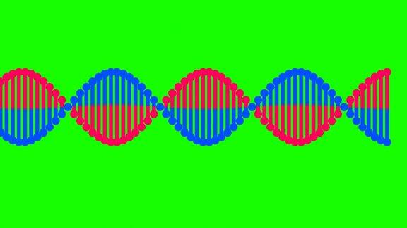 DNA分子结构螺旋人类科学遗传生物技术DNA线框碎片螺旋状人类基因组DNA医学研究DNA链构造绿屏动画