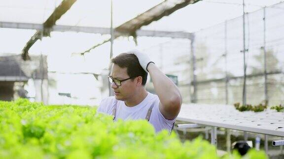 亚洲农场主检查他的有机水培蔬菜种植农场