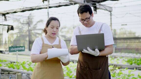 亚洲农民夫妇检查有机水培蔬菜种植农场