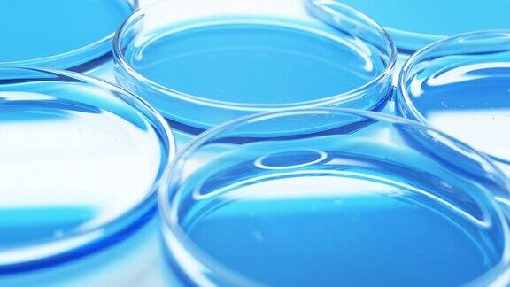 有蓝色液体的培养皿