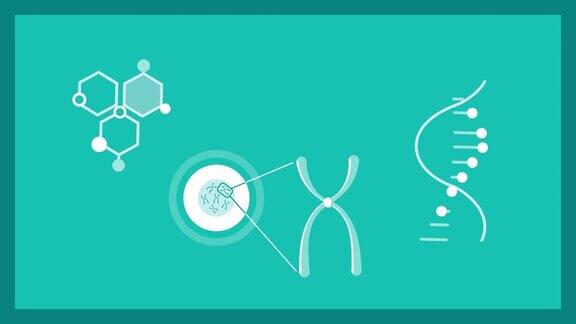 蓝色背景的4k动画遗传学集设计视频