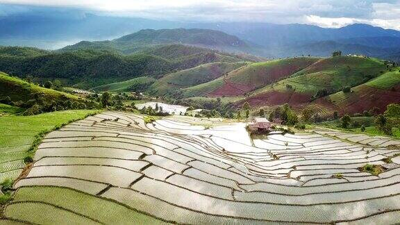 鸟瞰山坡上的稻田梯田全景东南亚农业