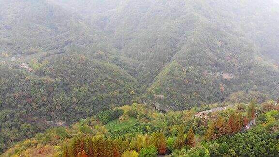 美丽的风景武当山中国湖北省