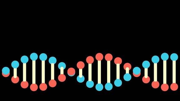 4KDNA结构-可循环