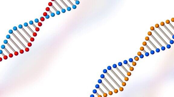 白色背景上带有复制空间的DNA结构脱氧核糖核酸旋转螺旋分子基因遗传和生物学教育4K视频