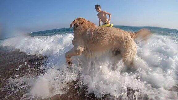 快乐的男孩和她的狗在海里游泳