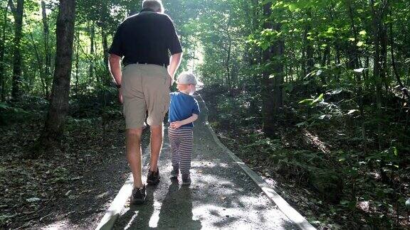 祖父和儿子在徒步小径上探索森林