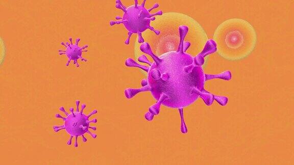 细胞被病毒感染过程的三维动画病毒攻击人动物细胞的特写过程