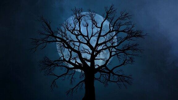 大月亮和孤独的树在夜空中