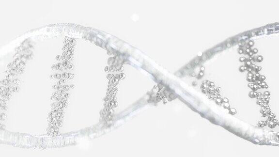DNA分子来自粒子外观呈白色透明可用于教育、科学或化妆品行业背景元素动画无缝循环