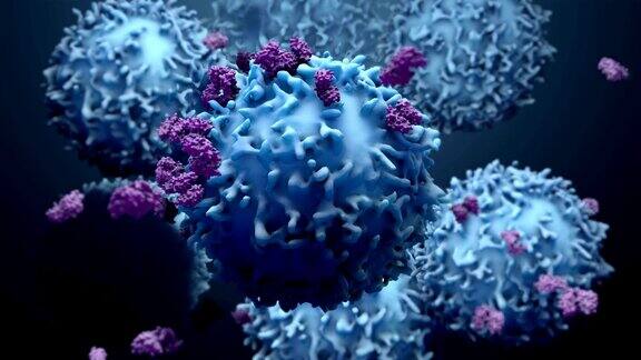3d蛋白质与淋巴细胞t细胞或癌细胞