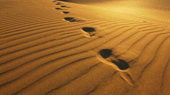 追踪大沙丘上的脚印