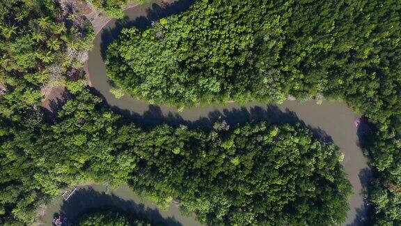 俯视图热带雨林和s曲线河