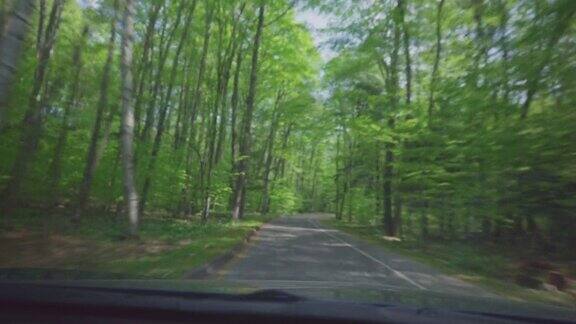 在森林道路上行驶