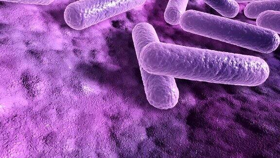 表面上的细菌微观的3d特写动画