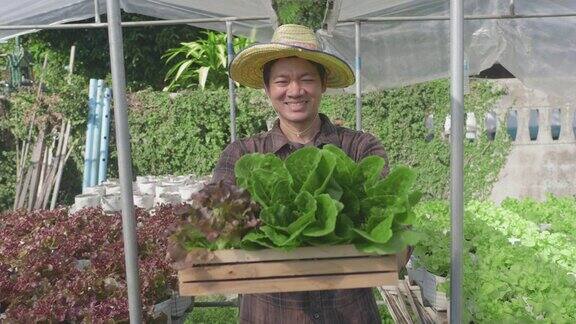 亚洲男子在他的花园里展示蔬菜