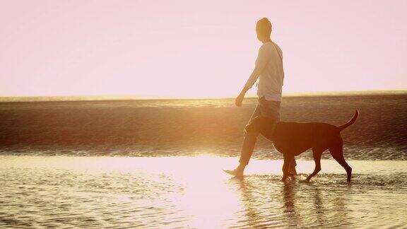 一个女人和一只狗在海滩上
